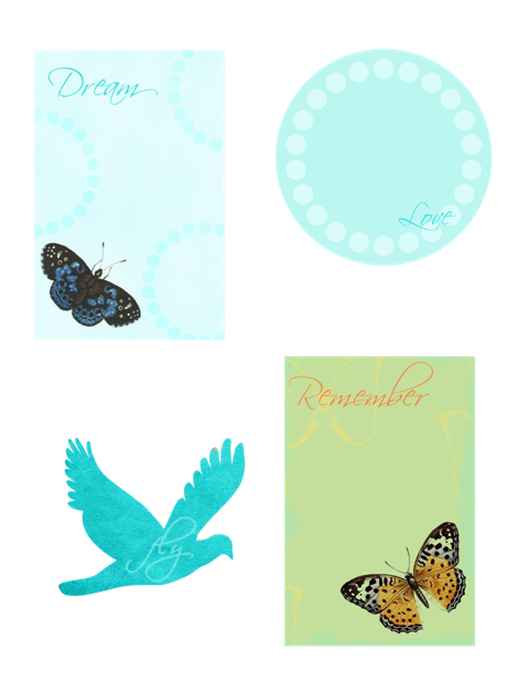 ButterflyWeb_3