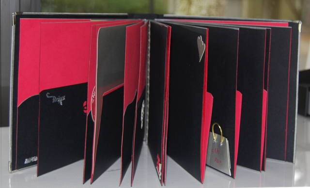 Pleated Hinged Expandable Album Pleated Hinged Expandable Album