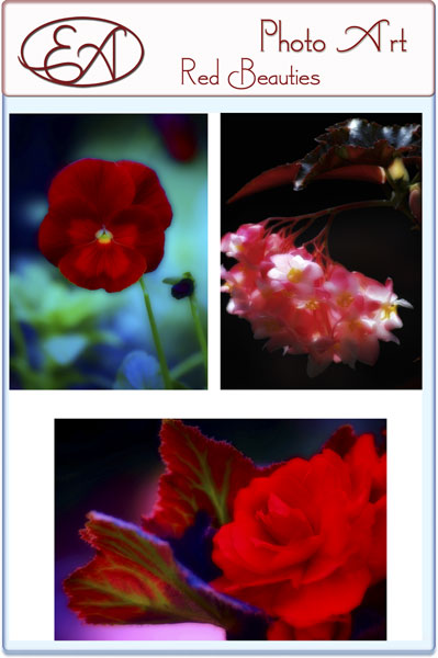 Red Beauties Red Beauties